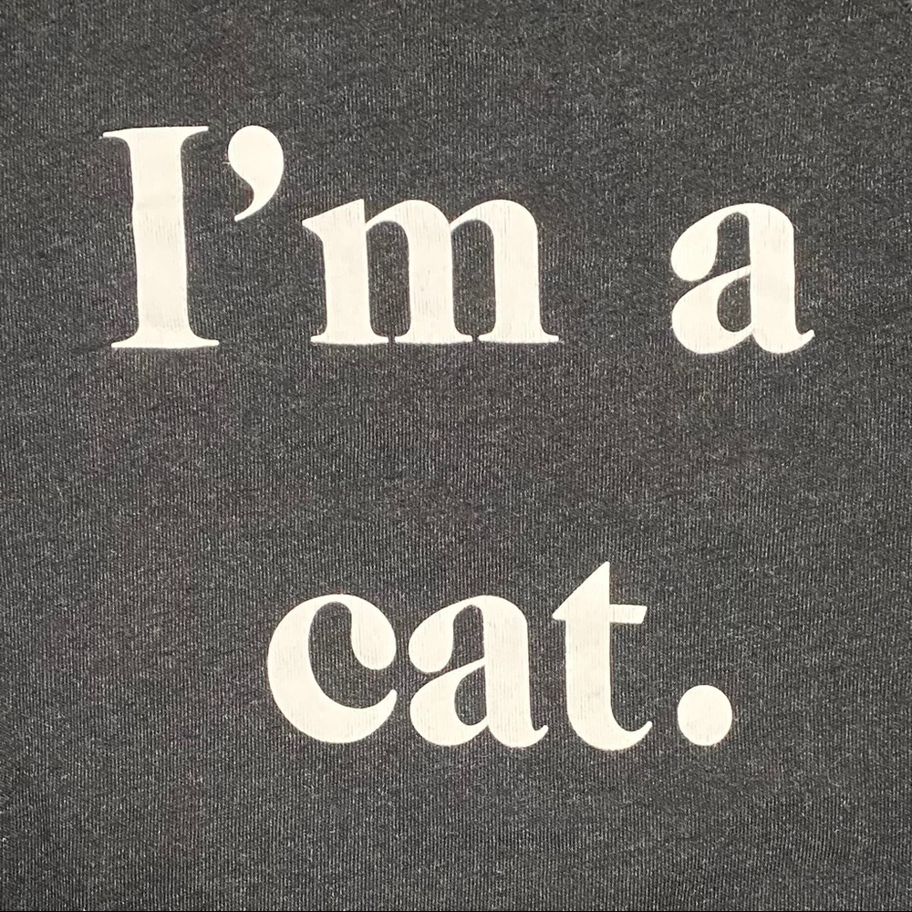 NWT WILDFOX Wildfox I’m A Cat Sommers Sweater - Picture 2 of 3